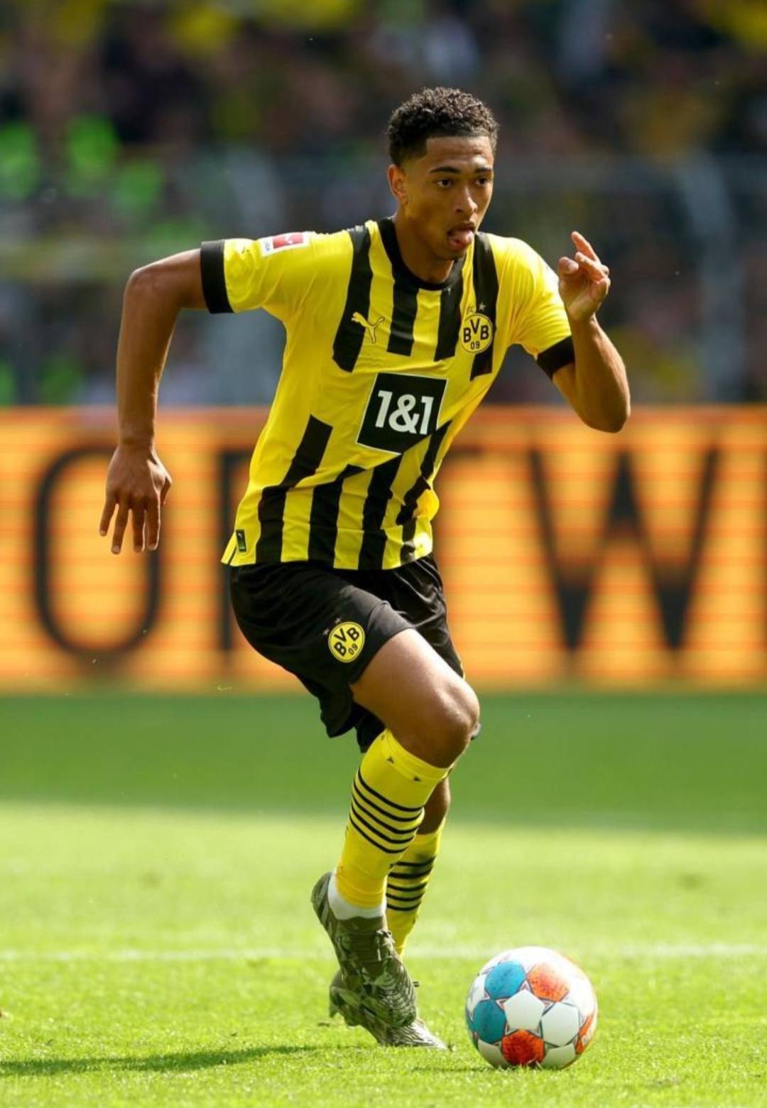 29